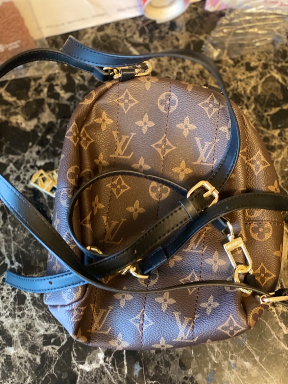 Mini Monogram Backpack Crossbody Bag (Brown/Black) Worn Once - Picture 2 of 2